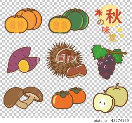 秋の味覚　セット 42274529