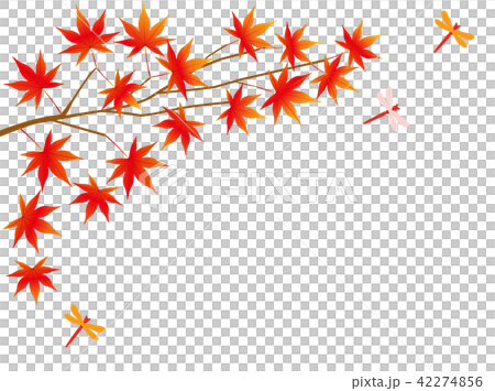 Autumn leaves 3 Autumn leaves 3 42274856