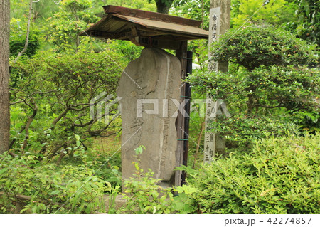 秩父三十三番札所・菊水寺の境内 42274857