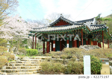 興国寺 麗水 全羅南道 42275197