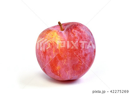 スモモ（貴陽） 42275269