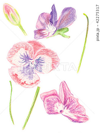 Illustration set of color drawing Illustration set of color drawing 42275317