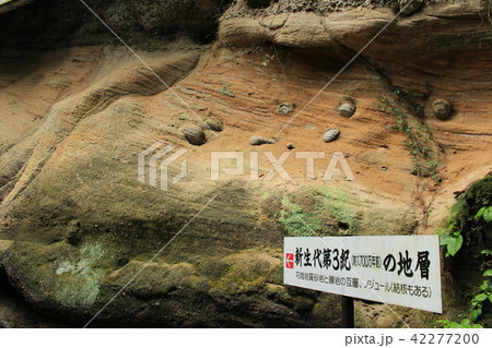秩父三十一番札所・観音院の地層 秩父三十一番札所・観音院の地層 42277200
