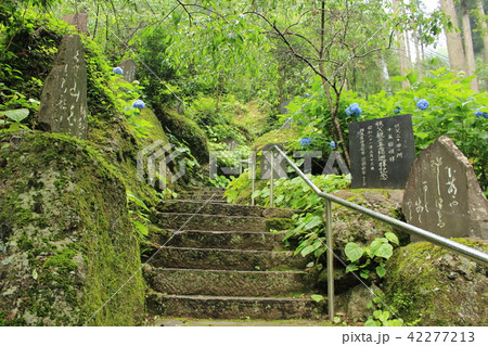 秩父三十一番札所・観音院の参道 42277213