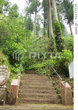 秩父三十一番札所・観音院の参道 42277220