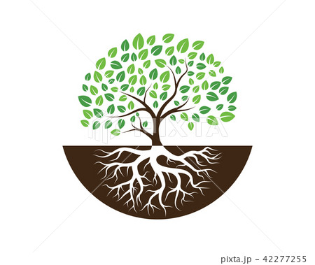 Logos of green Tree leaf 42277255