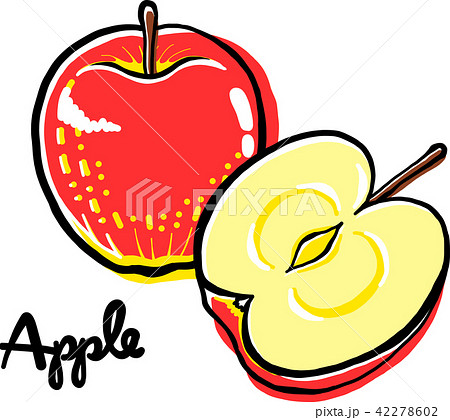 リンゴと断面図のイラスト素材 42278602 Pixta