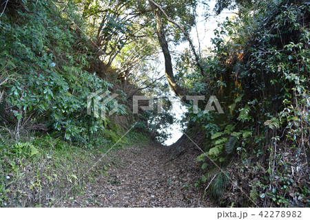 佐貫城　堀切 42278982