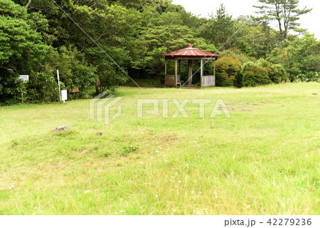 足柄城址 42279236