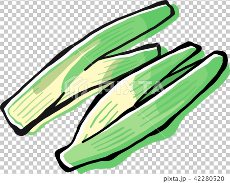マコモダケ 42280520