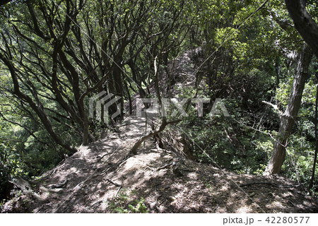 高天神城跡　甚五郎抜け道 42280577