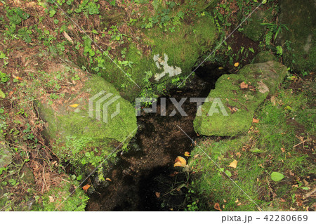 史跡　井戸尻遺跡　井戸尻の泉 42280669