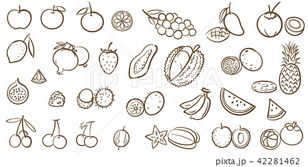 Mix tropical fruits line art vector illus 42281462