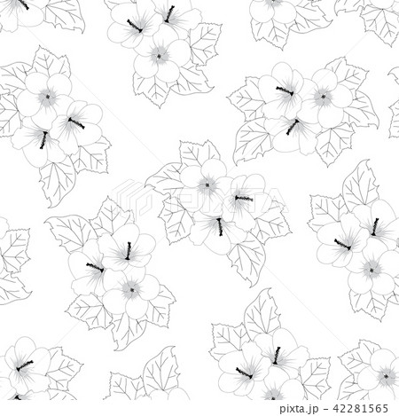 Hibiscus syriacus Flower - Rose of Sharon 42281565