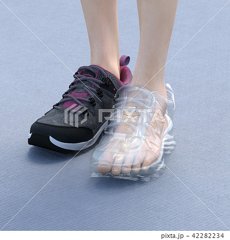女性の足　スニーカー　内部透視　perming3DCG リアルイラスト素材 42282234