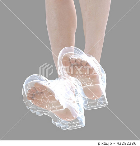 女性の足　スニーカー　内部透視　perming3DCG リアルイラスト素材 42282236