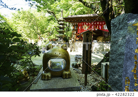 如意輪寺（かえる寺） 42282322
