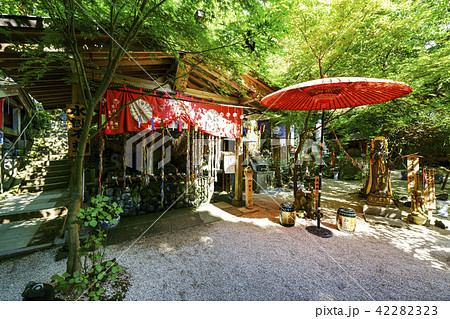 如意輪寺(かえる寺) 如意輪寺(かえる寺) 42282323