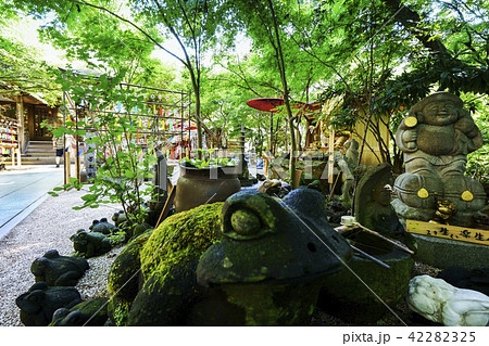 如意輪寺（かえる寺） 42282325