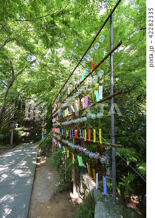 如意輪寺（かえる寺） 42282335