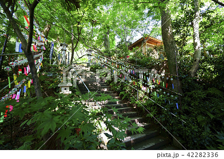 如意輪寺（かえる寺） 42282336