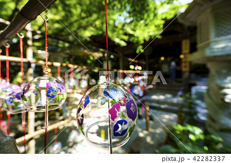 如意輪寺（かえる寺） 42282337