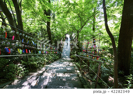 如意輪寺（かえる寺） 42282349