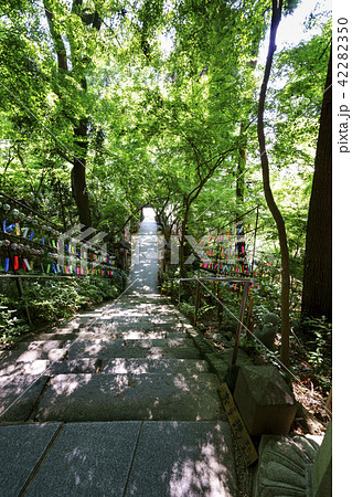 如意輪寺（かえる寺） 42282350