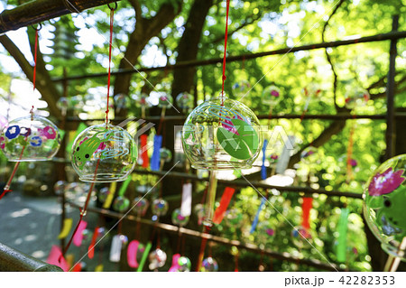 如意輪寺（かえる寺） 42282353