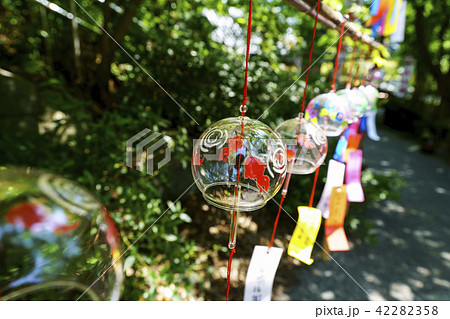 如意輪寺（かえる寺） 42282358