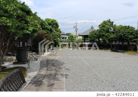 足利氏発祥の地栃木県足利市・法玄寺の境内 42284011