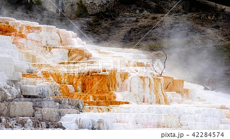 Yellow Stone National Park 42284574