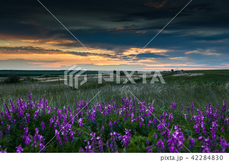 beautiful sunset is in the field 42284830