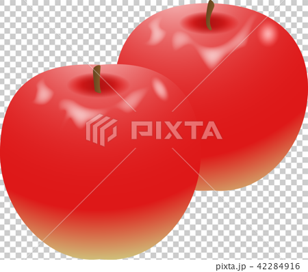果物・りんご （vector illust） 42284916
