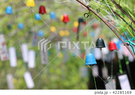 夢かけ風鈴 42285169