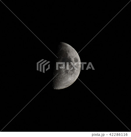 月(月齢7.0) 月(月齢7.0) 42286116