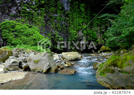 スッカン沢にて 42287074