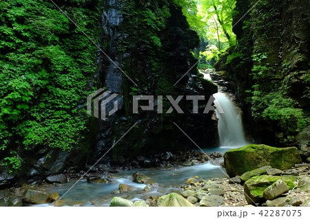 スッカン沢にて 42287075