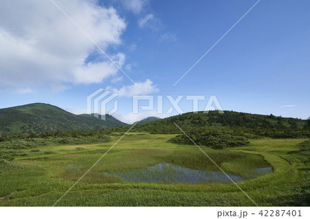 八甲田山　田茂萢湿原 42287401