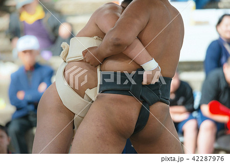 学生相撲 42287976