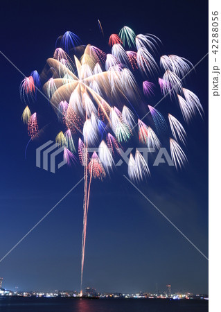 横浜スパークリングトワイライト２０１８　打ち上げ花火スターマイン（千輪菊） 42288056
