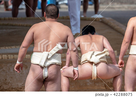 学生相撲 42288075