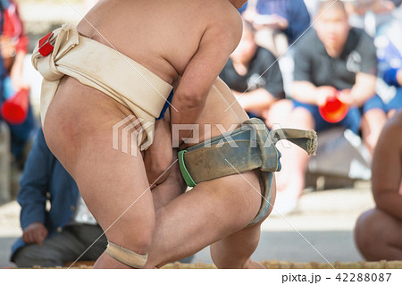 学生相撲 42288087