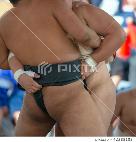 学生相撲 学生相撲 42288102