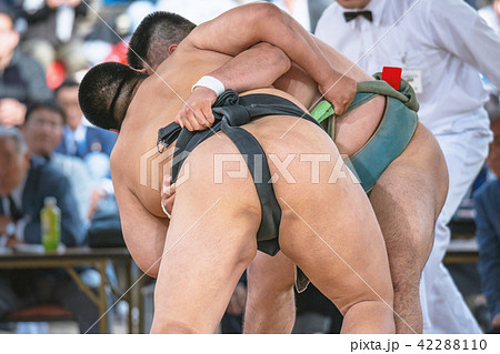 学生相撲 学生相撲 42288110