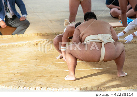 学生相撲 42288114