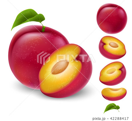 Set of plum fruit 42288417