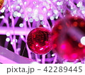 クリスマスイルミネーション 42289445