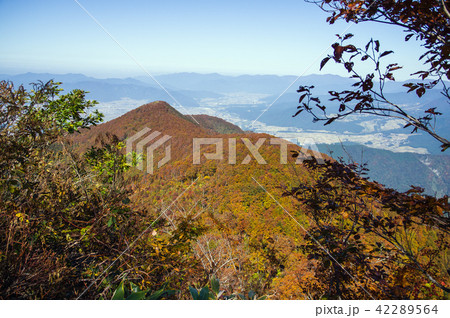 秋色に染まる小荒島 42289564