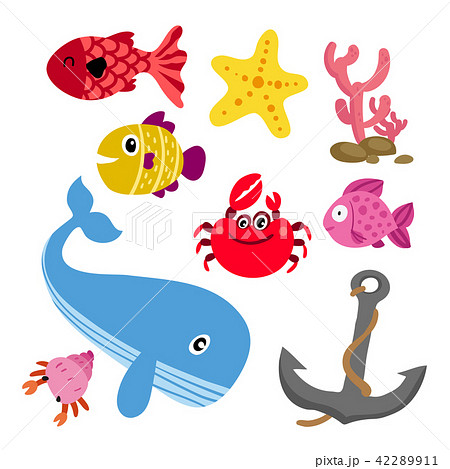 Marine Life Vector Collection Designのイラスト素材